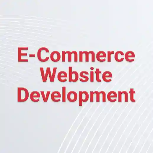 E-commerce development with Shopify 
